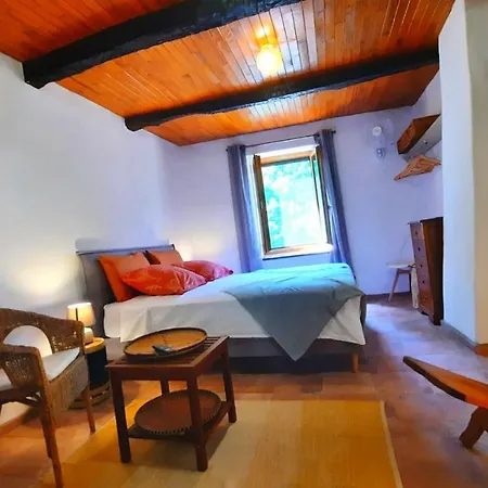 Mas De Boissiere - D'hotes Avec Piscine Et Jacuzzi Bed & Breakfast