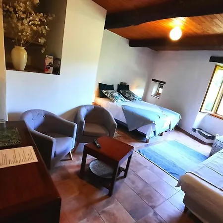 Mas De Boissiere - D'hotes Avec Piscine Et Jacuzzi Bed & Breakfast *