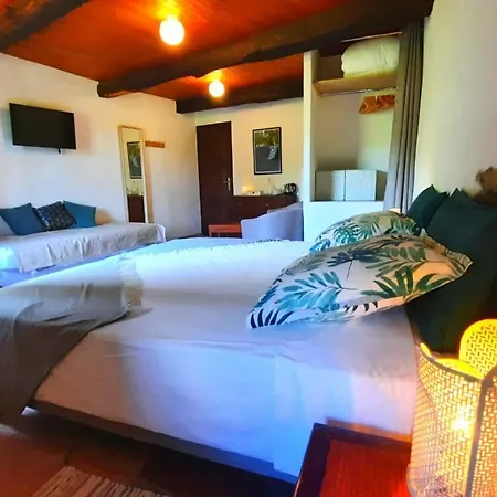Mas De Boissiere - D'hotes Avec Piscine Et Jacuzzi Bed & Breakfast Cros (Gard)